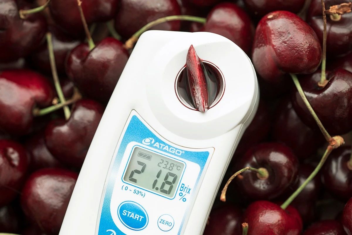 1斤*口车进**厘子卖百元，2分钟带你了解智利种植背后的黑科技，啥样