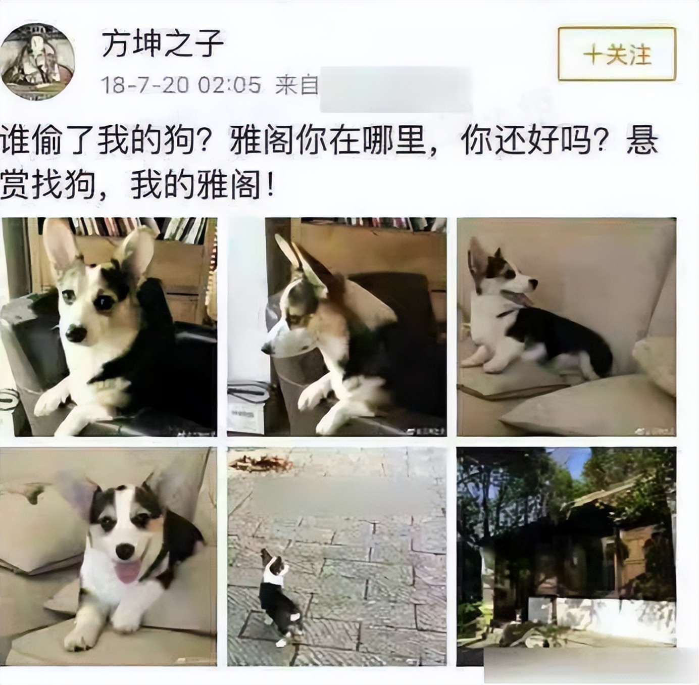 袁立到底是多有勇气,袁立到底人品咋样