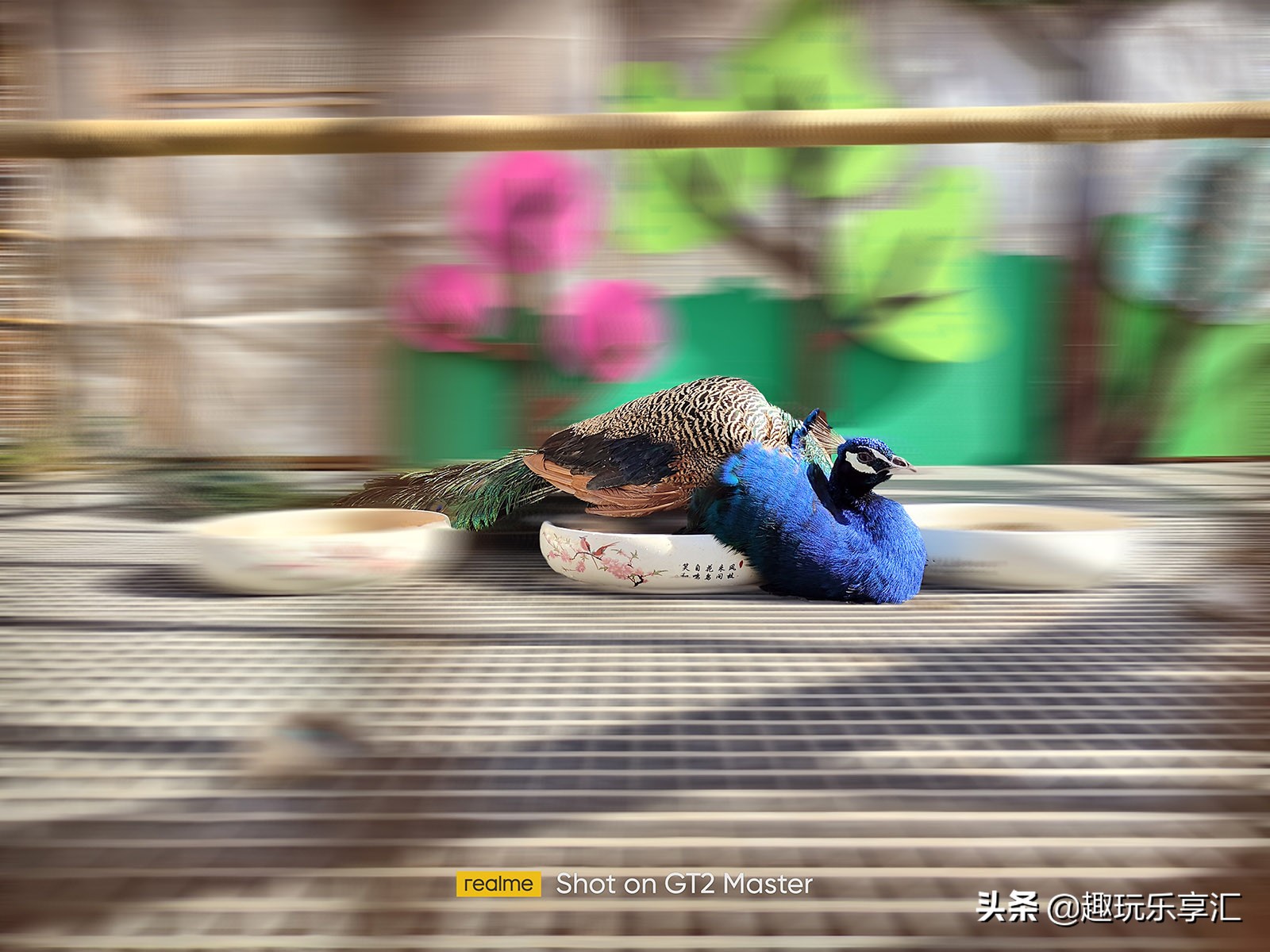 realme真我gtneo2t优缺点,真我realmegt2大师探索版