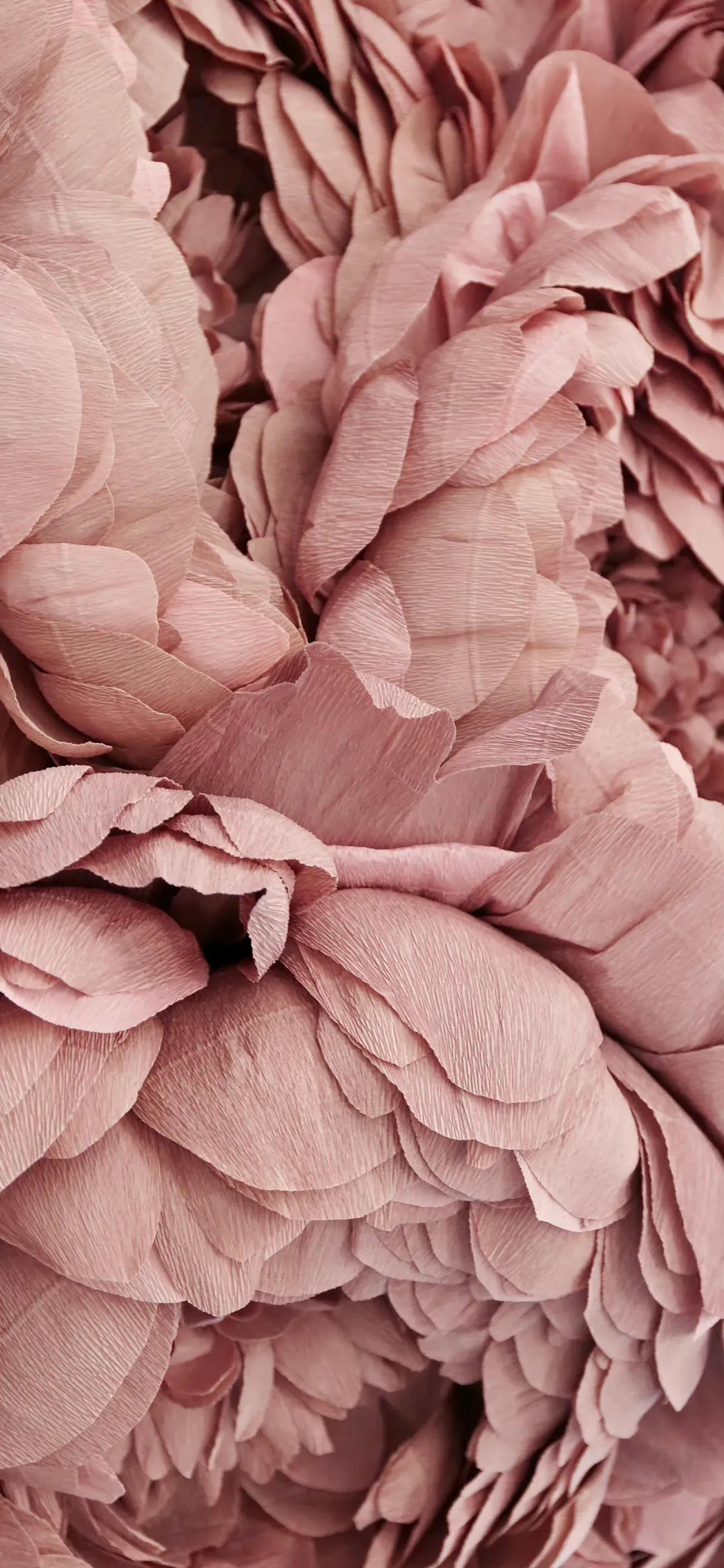 高清壁纸全面屏手机,围棋壁纸高清全面屏