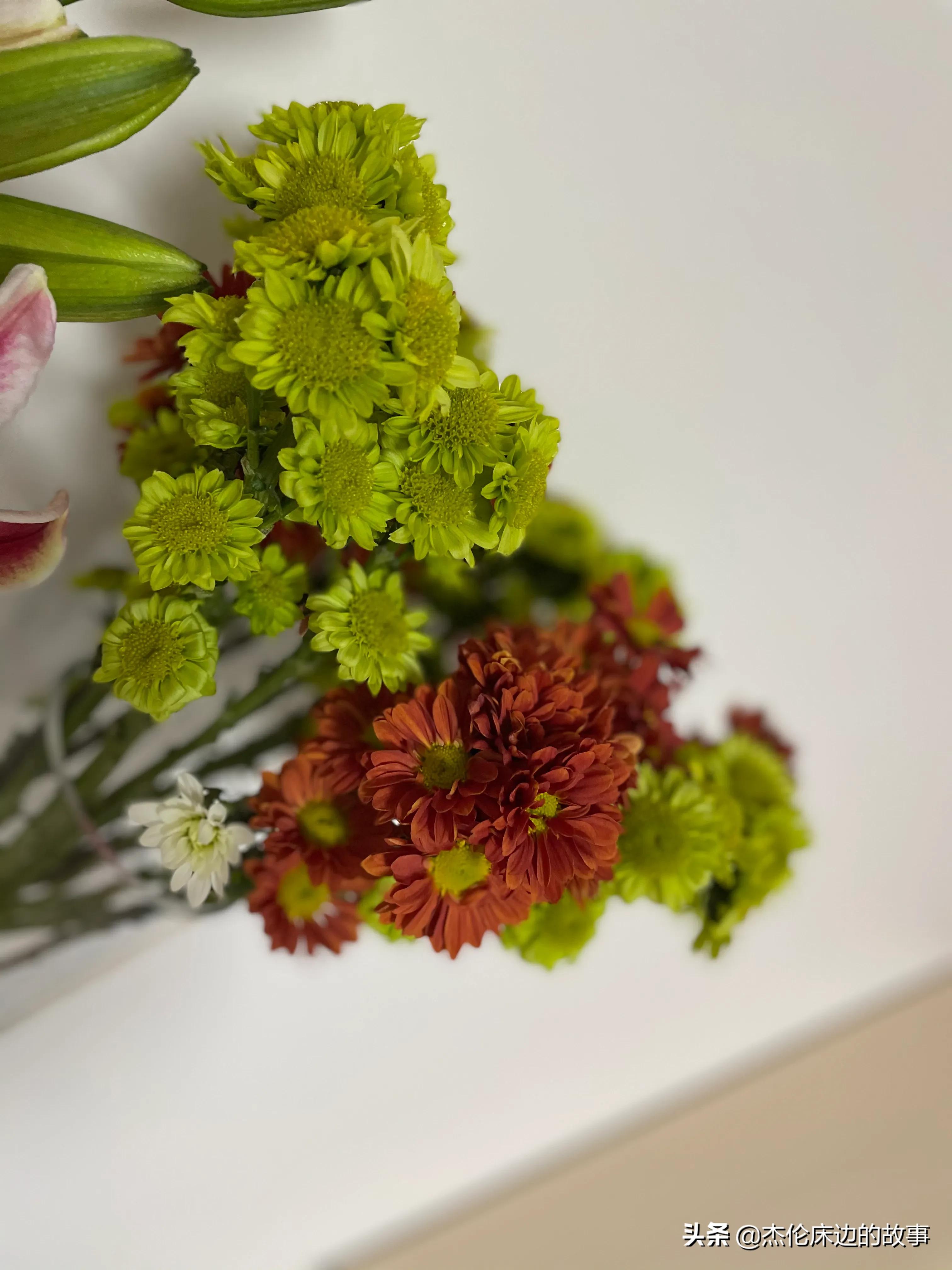 网上鲜切花怎么养护,最耐养的鲜切花