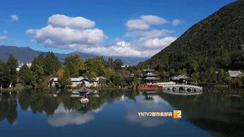 秋天的云南哪里漂亮又美丽,有一种美叫云南的秋天美景