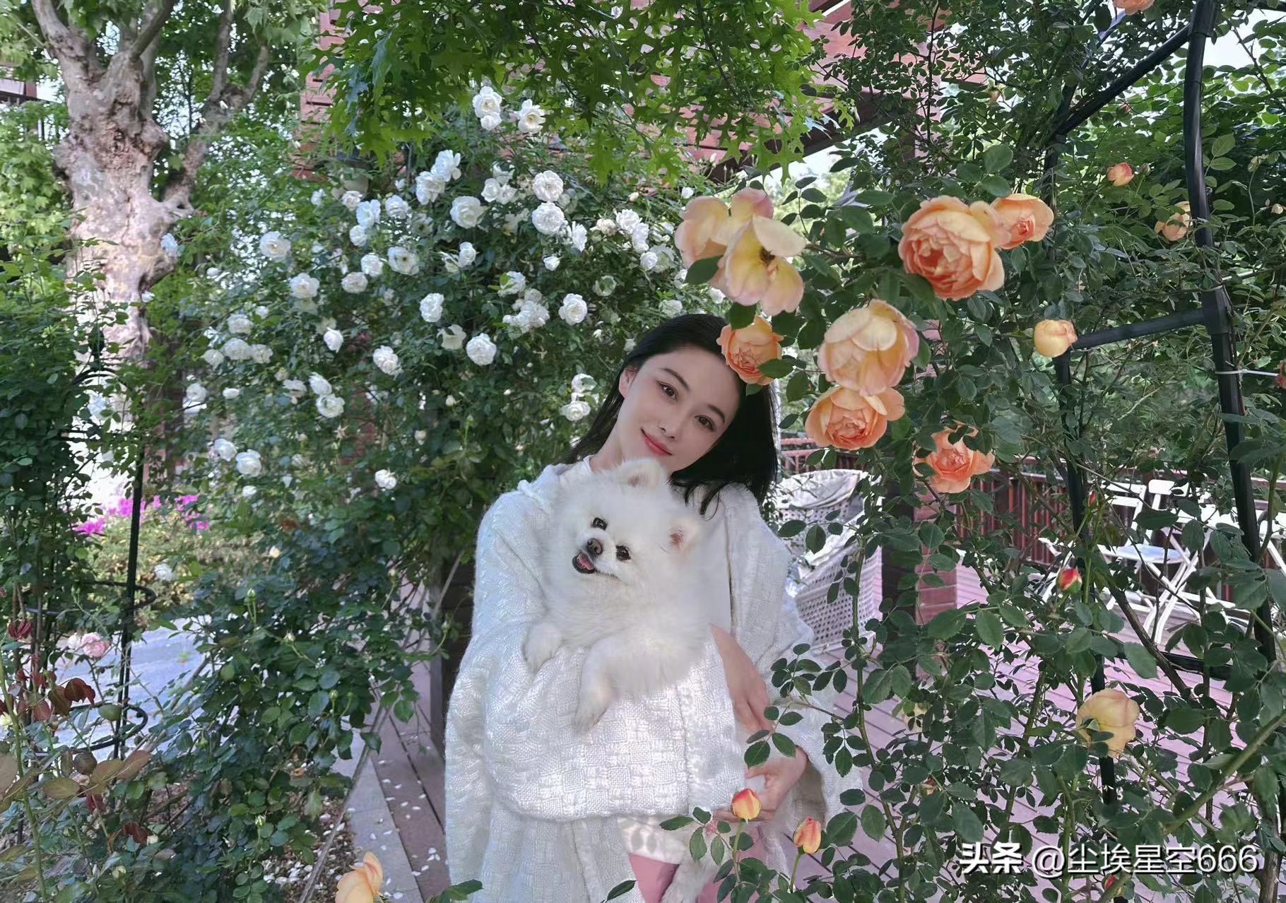 黑料女王张馨予的上位洗白之路,张馨予梁红的婚恋史