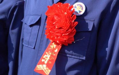 专职消防员考入国家队怎么评级,专职消防员进国家队需要什么资格