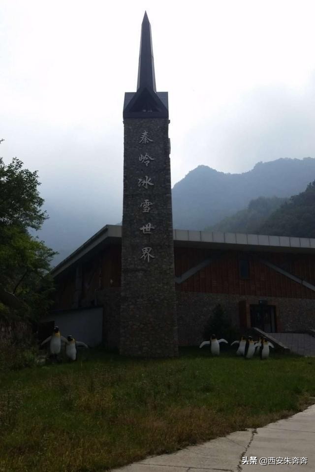 翠华山爬山攻略,翠华山爬山攻略一日游