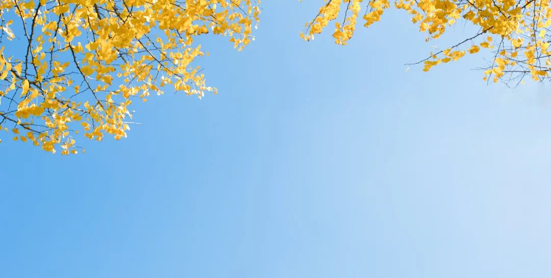 秋诗句最经典的十句,赞颂秋的经典诗句