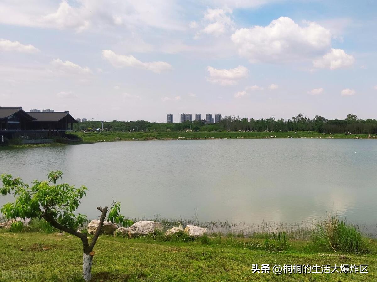 成都旅游五日游攻略路线推荐,成都自由行攻略带你3天玩遍成都