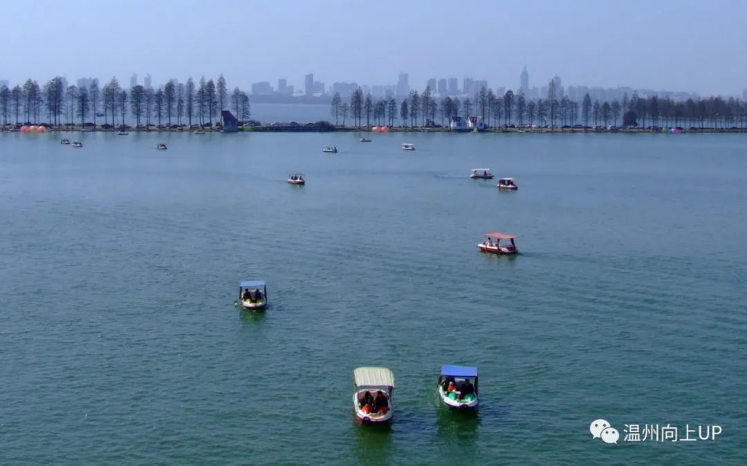 温州人工湖,没有湖的城市