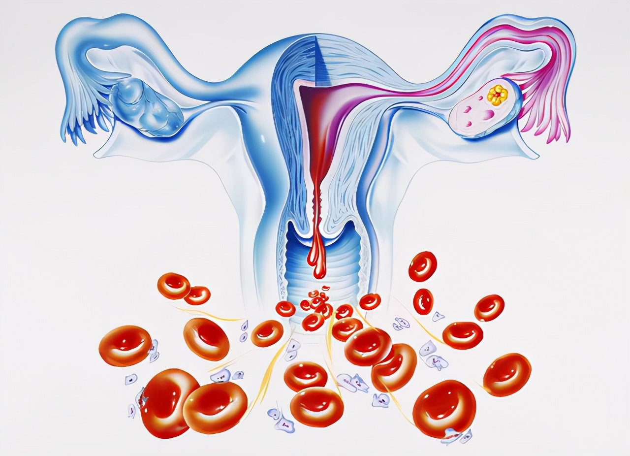 绝经后又来月经与活血药有关吗,绝经后又来月经会不会腰疼