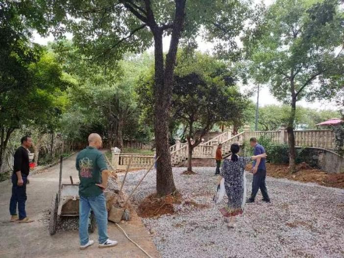 无疾”文化牵主线精神家园展新姿