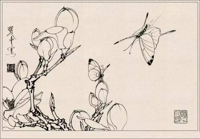 工笔草虫白描王道中,写意花鸟画草虫绘画过程分享