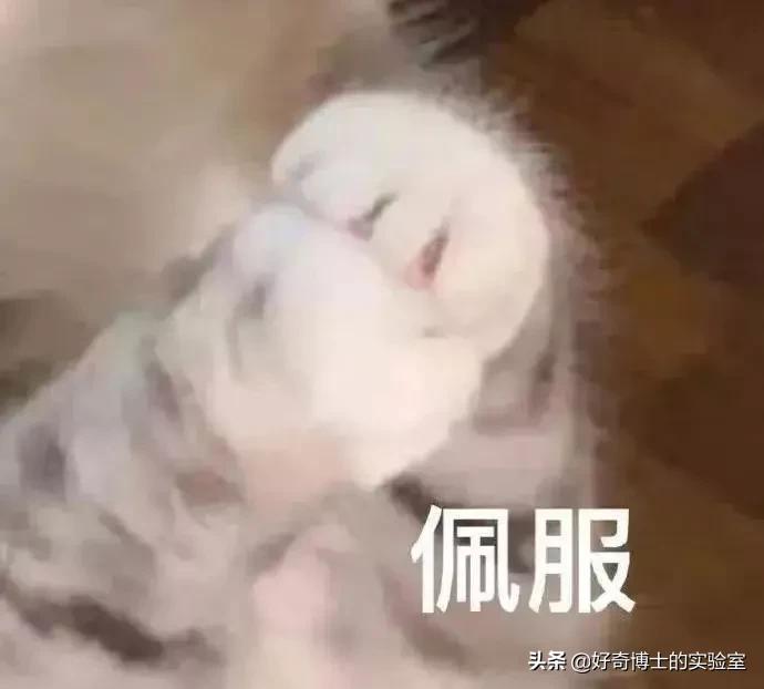 为啥内衣这么贵,女性内衣越贵越好吗