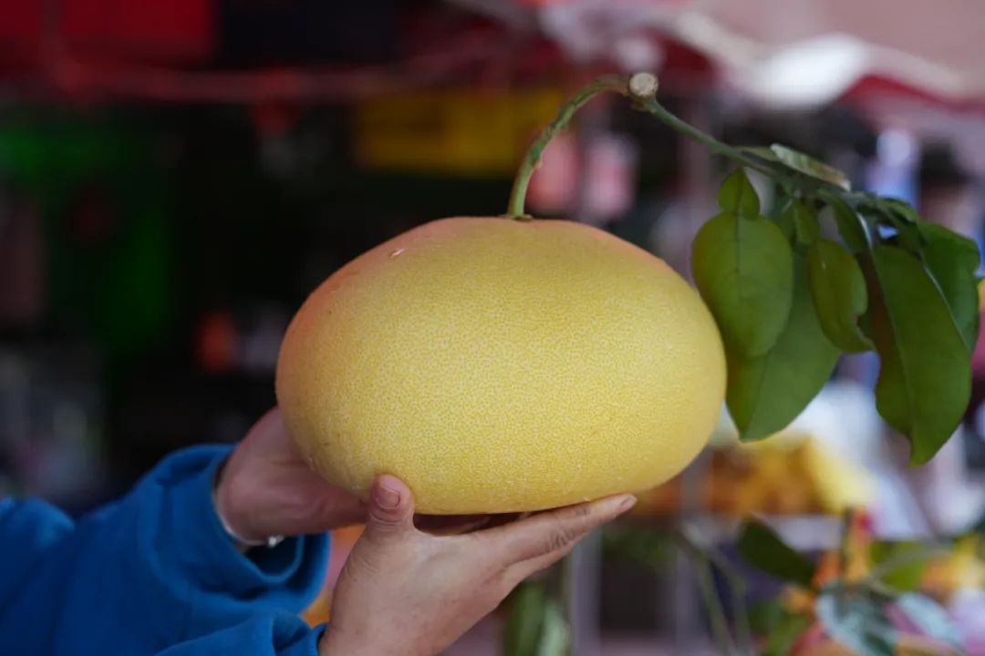 婀垮湴瑙傞笩甯傞泦鐜夌幆,鐜夌幆婀垮湴瑙傞笩