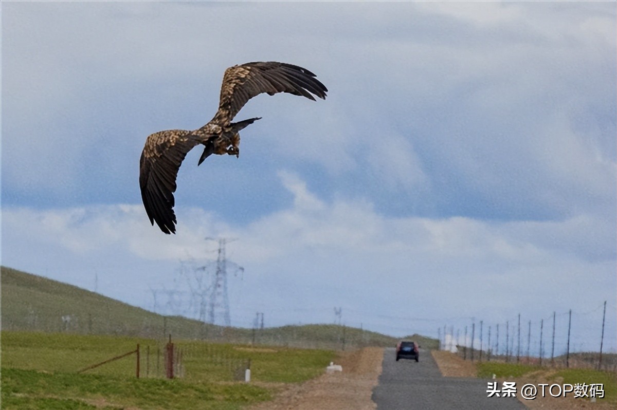 超越影像的界限OMSYSTEM奥之心精密光学2023CHINAP＆E