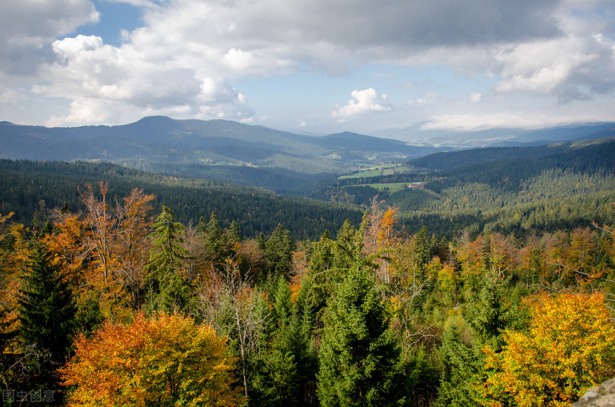 张子强覆灭记完整版视频,张子强后来怎么样了