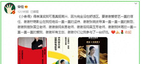 小宋佳情感经历,小宋佳的情感电视剧