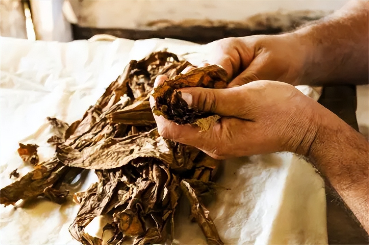 云霄烟假烟造就百亿市场,中国云霄经典假烟