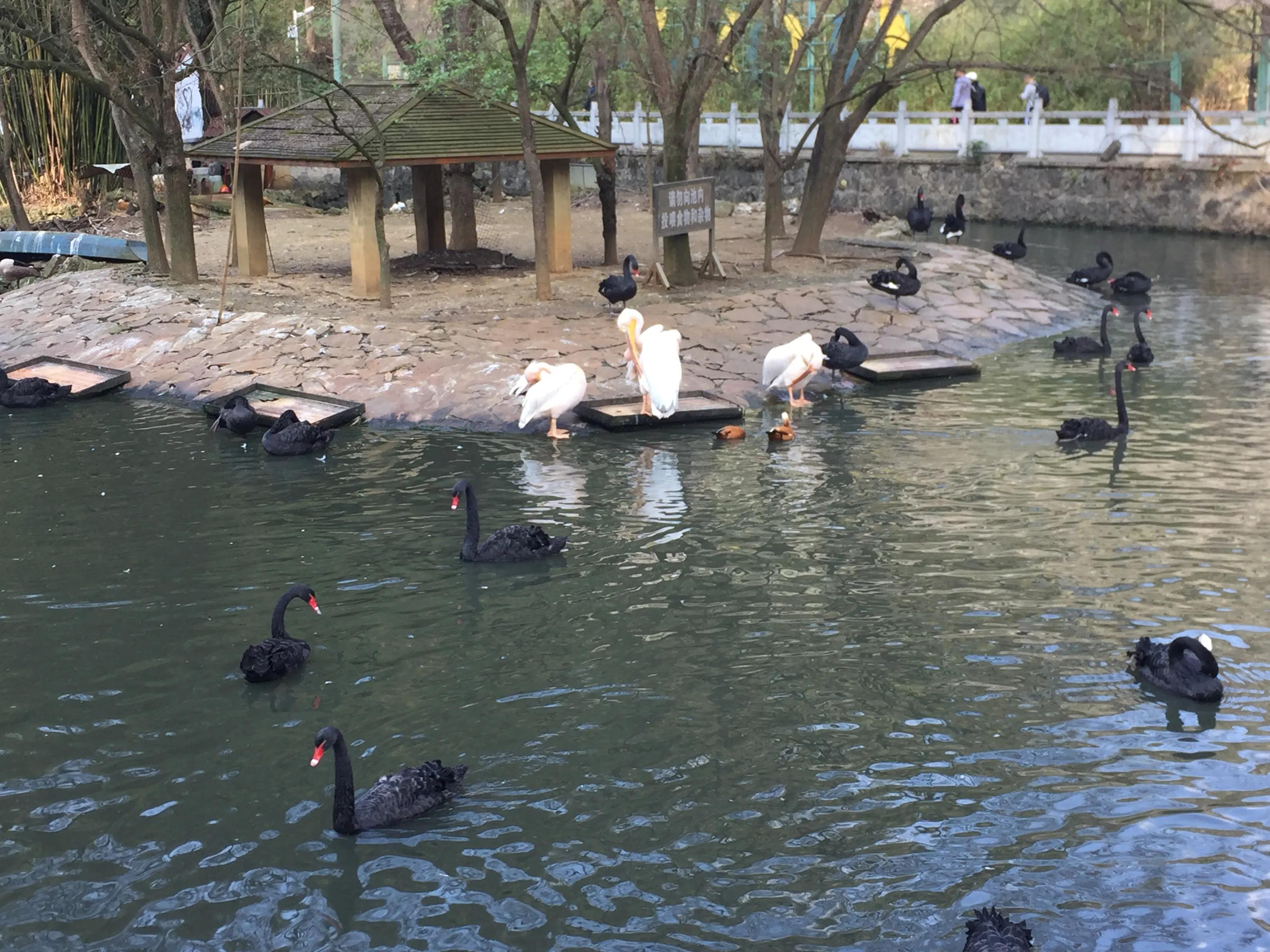 穷游贵阳三天最佳攻略,从贵阳穷游西藏最佳攻略