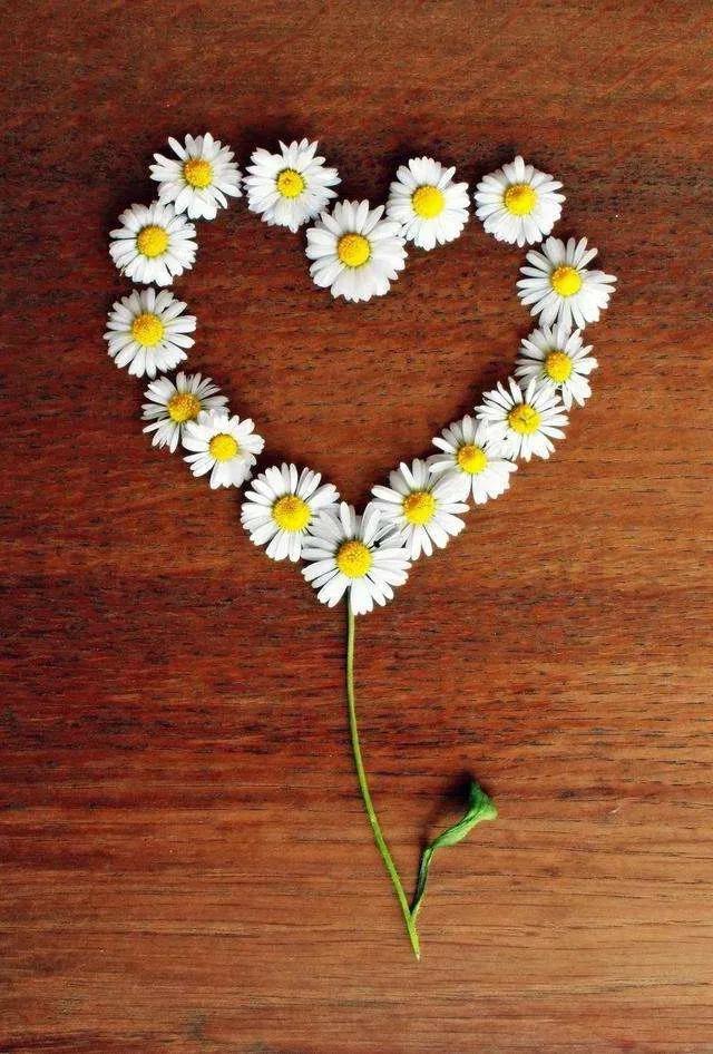 好看的的壁纸高清,好看的壁纸正方形图片