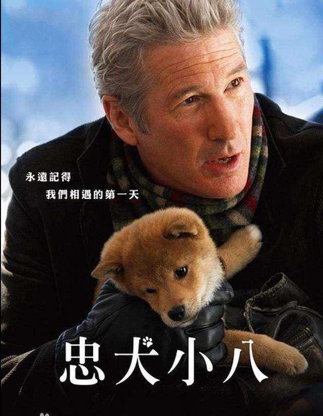 长期失眠电影推荐,晚上睡不着推荐的三部电影