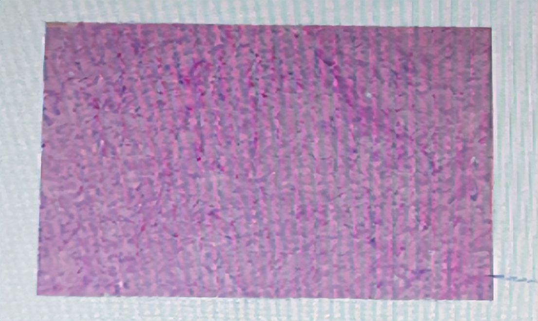 峰回路转枯木逢春,峰回路转眉开眼笑