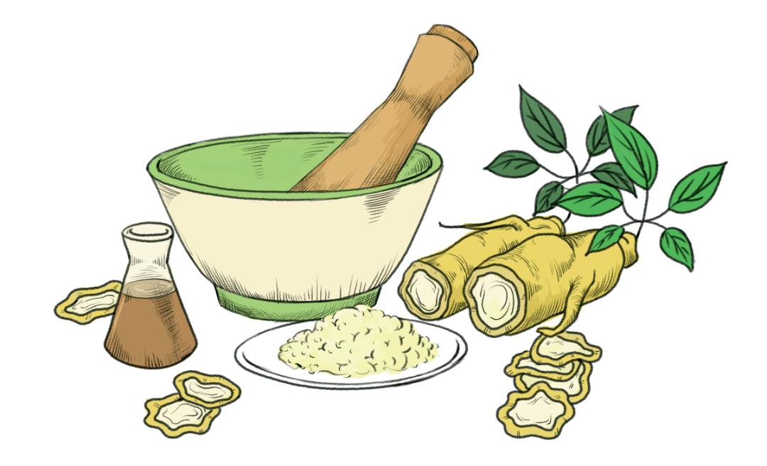 千年人参的传说有哪些呢,还有哪些关于人参的历史