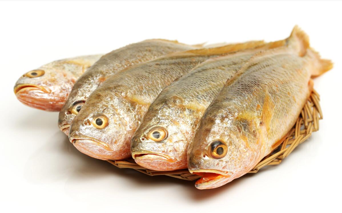 买鱼时这四种鱼切记不要买,十种野生鱼不能养殖