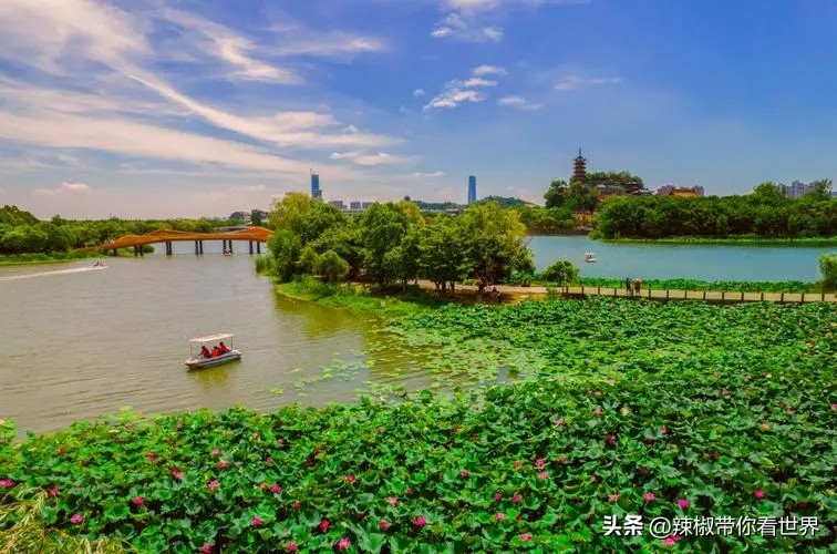 镇江一座美的让人吃醋的城市路牌,镇江一座美的让你吃醋的城市