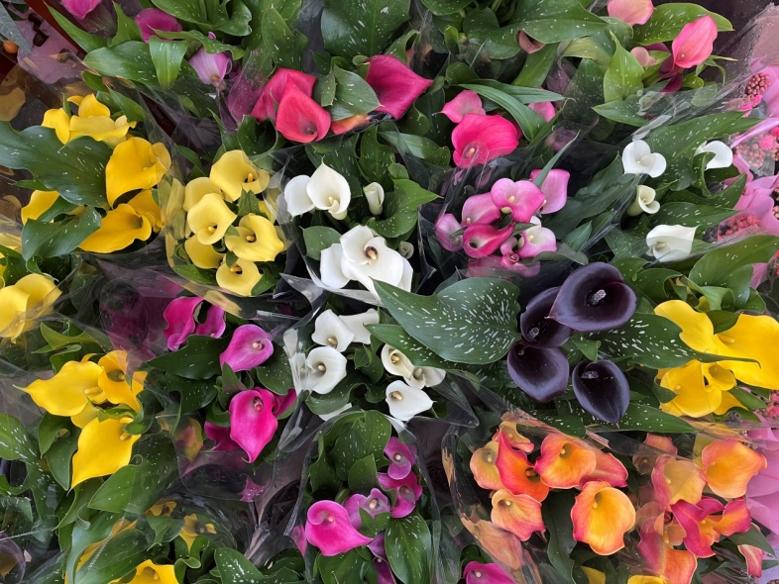 2022虎年年宵花,年宵花系列来了