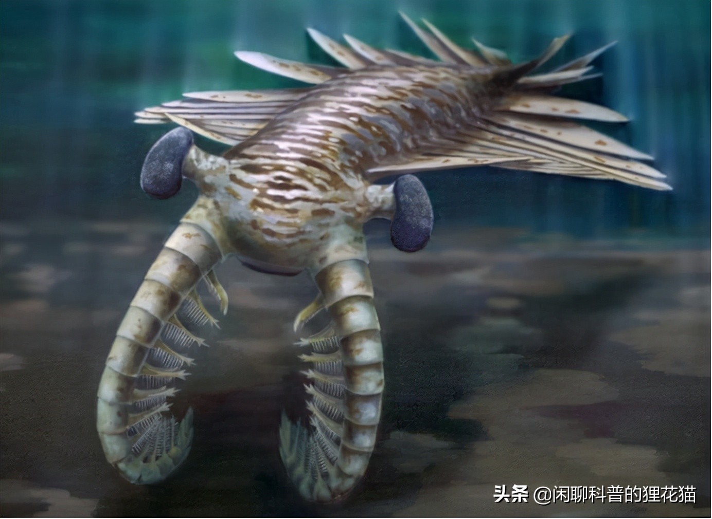 寒武纪三叶虫捕食者,十大最可怕的史前海洋巨兽