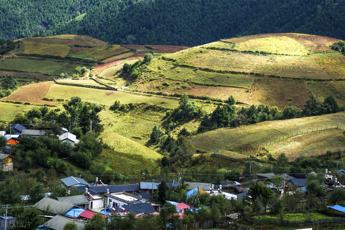 云南香格里拉旅游攻略自由行攻略,云南香格里拉自由行旅游攻略大全