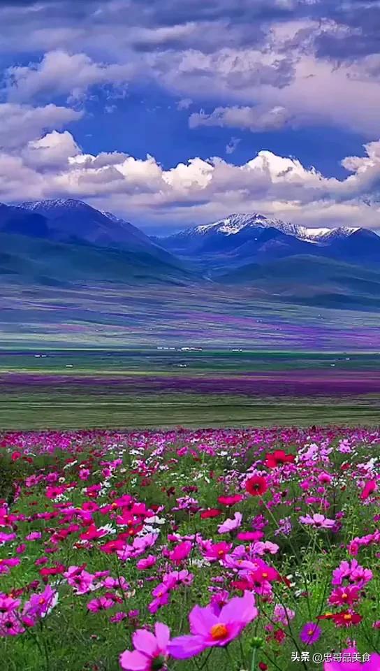 日落晚霞映照九曲十八弯,日落黄昏的九曲十八弯