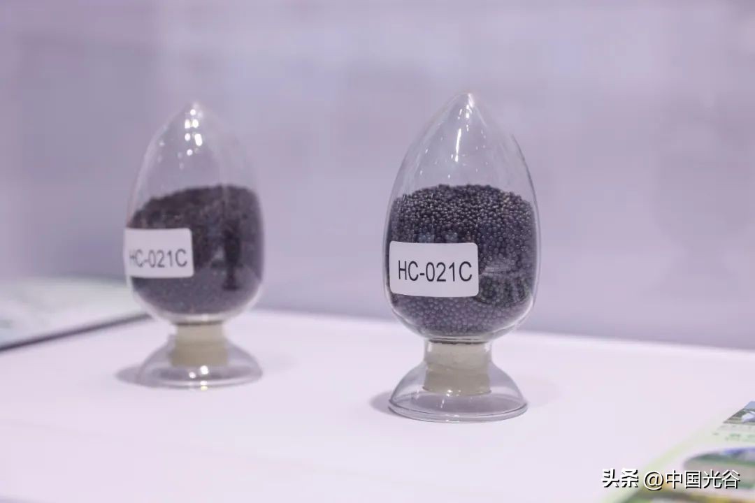 第十五届中国生物产业大会在汉举行，何维视频致辞，陈竺致贺信，王忠林致辞