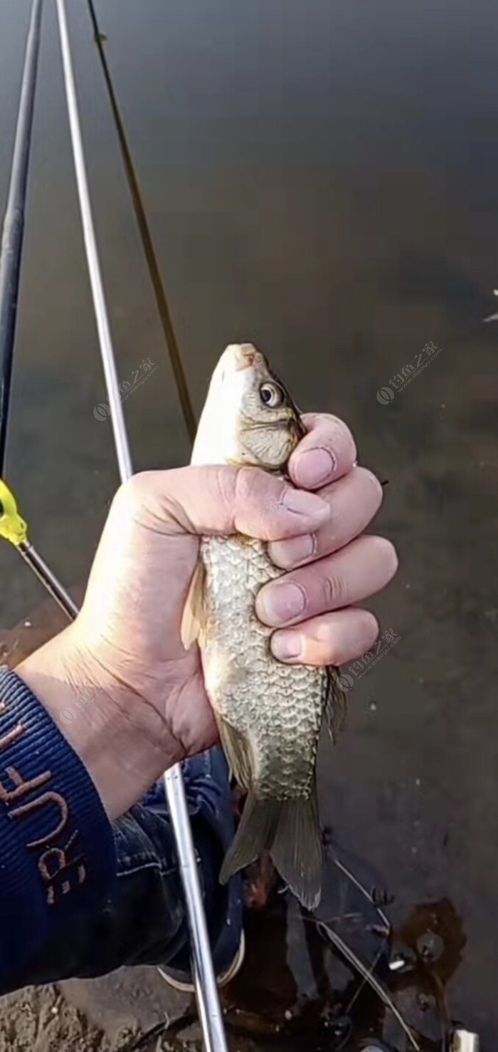 鱼竿的长度与线组的长度怎么搭配,怎么根据鱼竿长度选择漂的吃铅量