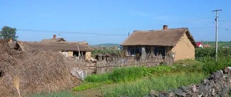 梅花香自苦寒来人生感悟,梅花香自苦寒来的上一句是什么