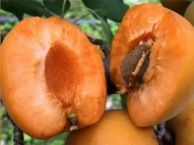 汶川旅游景点十大排行榜,四川旅游推荐汶川