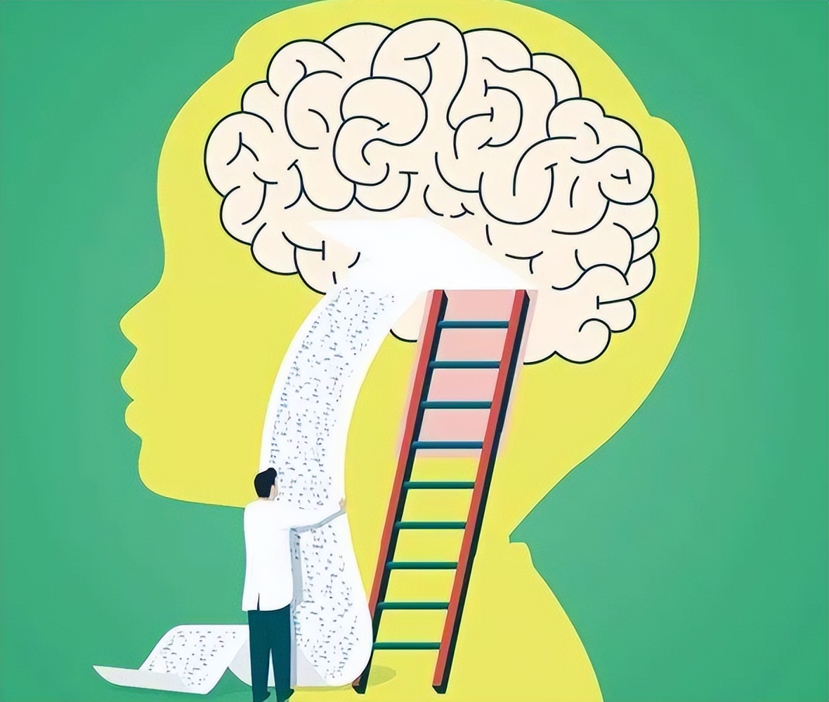 人有三个大脑是什么样的,三个大脑理论