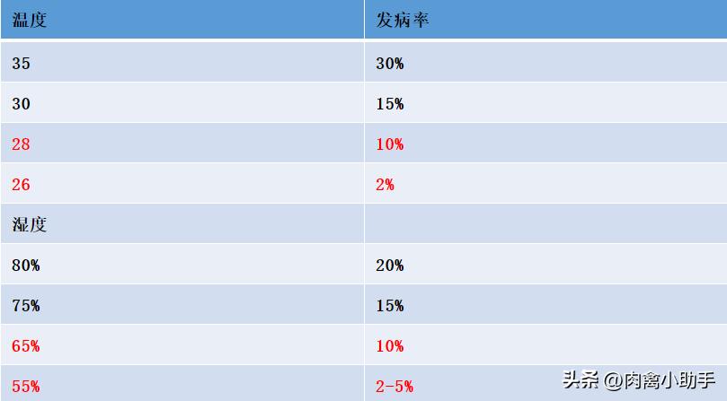 肉鹅如何预防痛风,鹅痛风用什么药能吃好