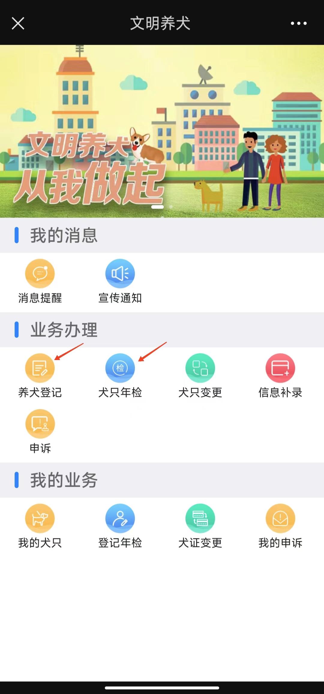 养犬登记,养犬登记证办理流程ppt