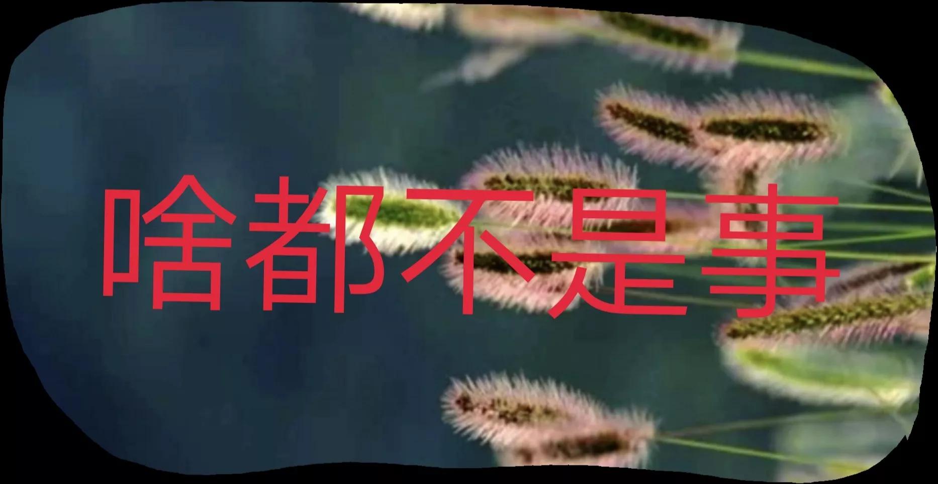 一个女孩有多坚强,一个女人到底是有多坚强