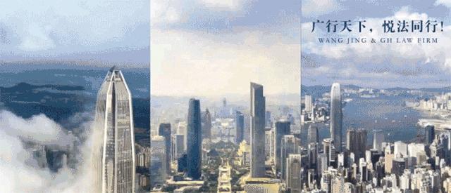 非营利性民办学校举办者变更,营利性民办学校举办者的现状