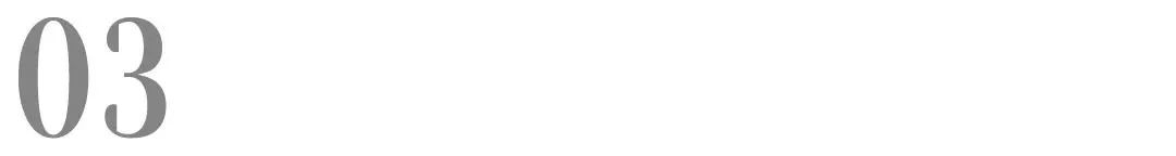 上线全新用品，布局湿粮产品，路可丝将亮相京宠展招募线下代理