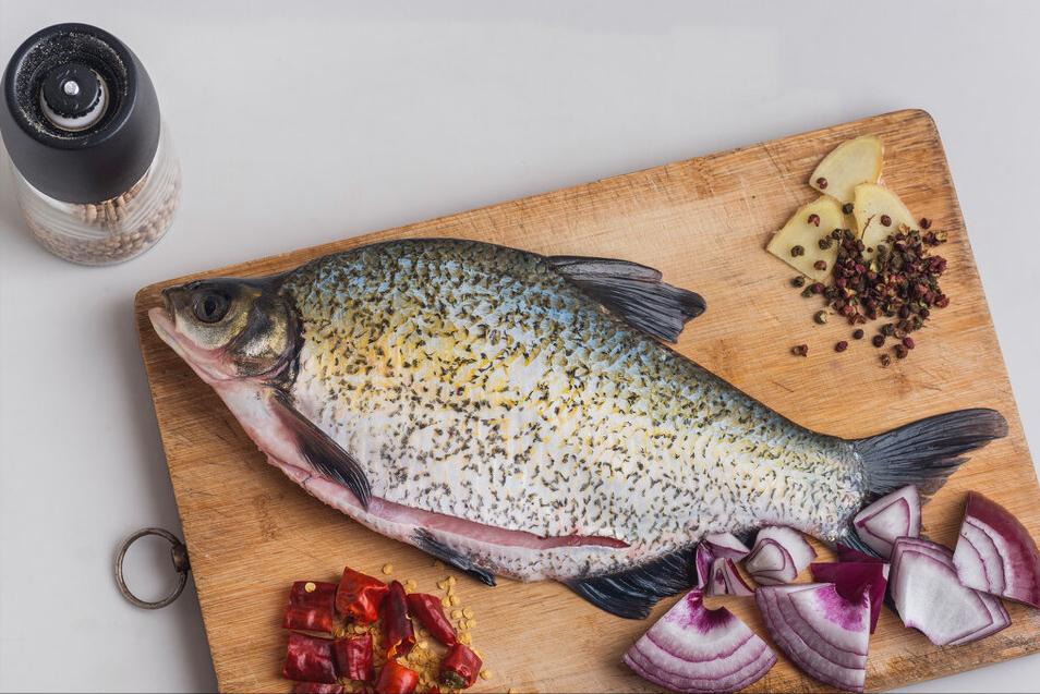 七种不一样的鱼图片,各种鱼的区别方法图解