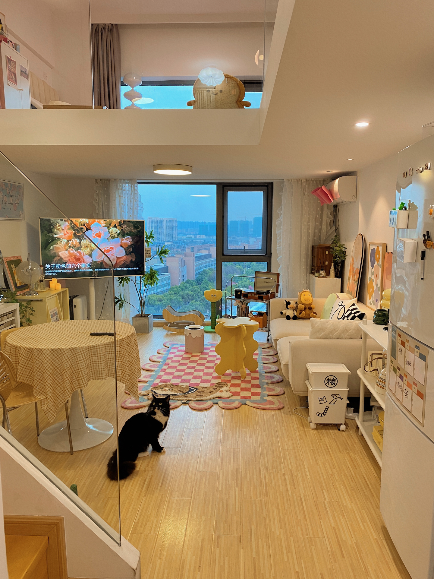 浙江女生晒出40㎡小家，独居养猫，日子过得惬意悠闲，令人羡慕