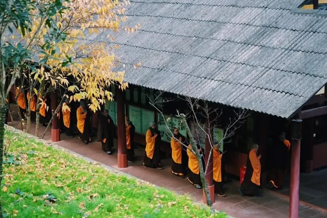 去当和尚的好处,出家的和尚是否会接触社会