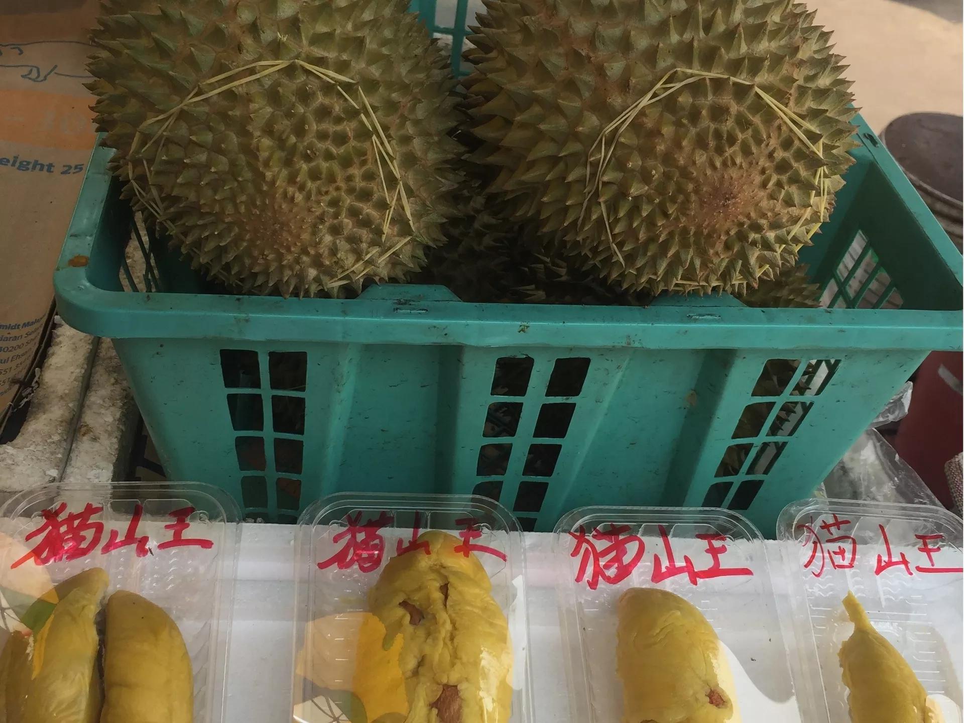 钱猫猫王者荣耀,钱猫猫的视频