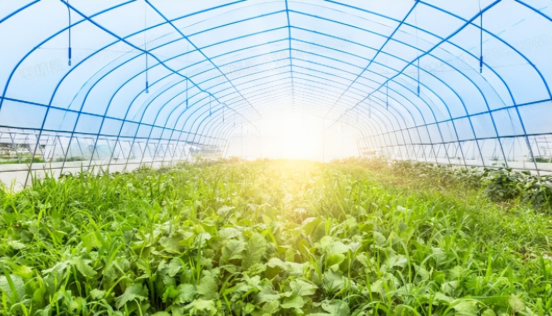 河南一户人家买了一块塑料布，让室内外温差达到23℃，什么原理？