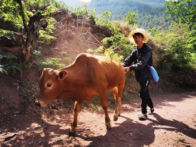 90后的我创业失败了说说,90后的我创业失败负债