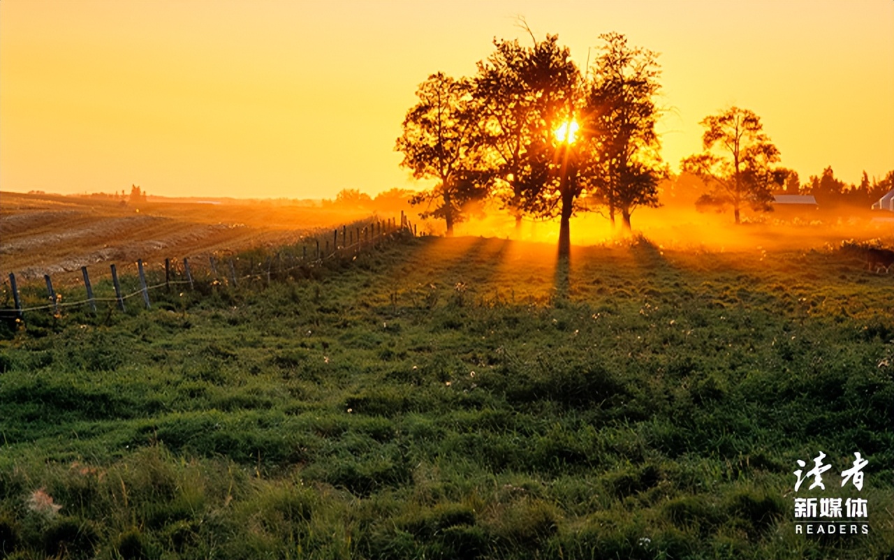 董宇辉经典语录当你痛苦时就看书,董宇辉经典语录努力学习认真生活