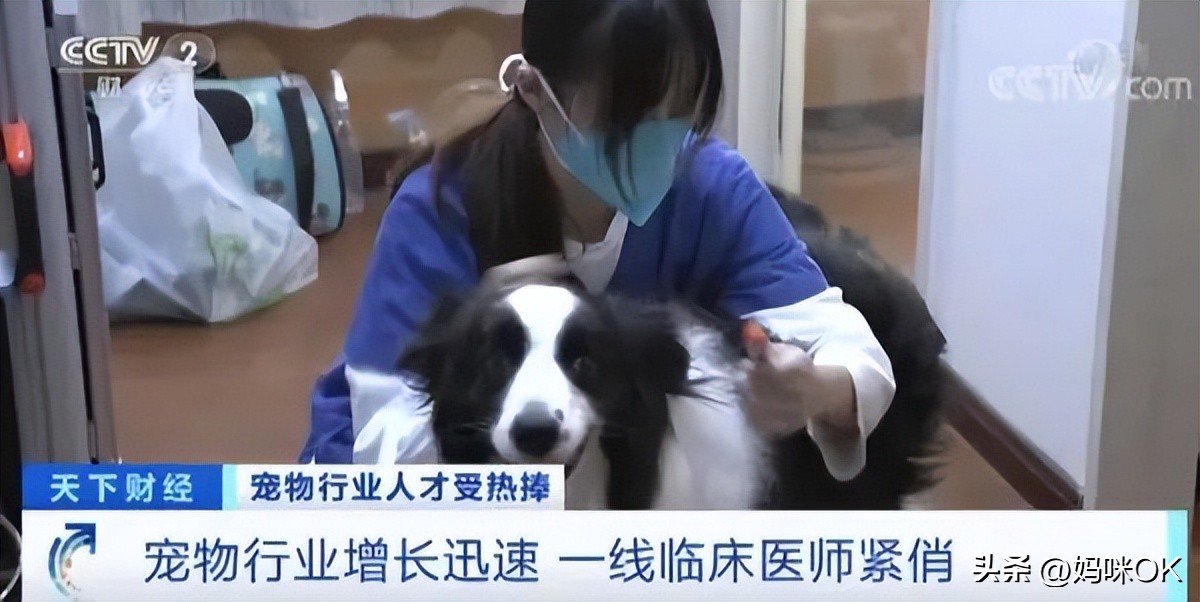 张雪峰讲的大实话一点不夸张,张雪峰十年前说的话已成现实